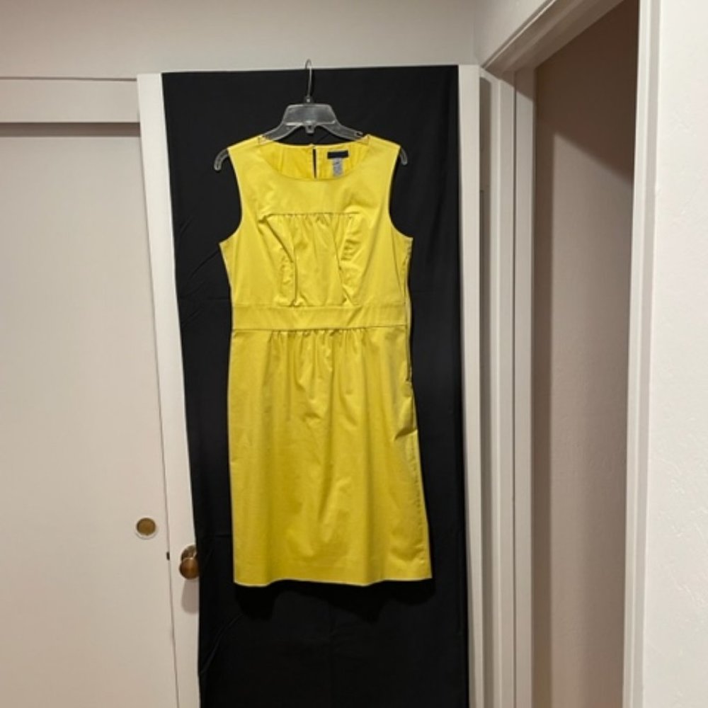 J. Crew Ladies Dress